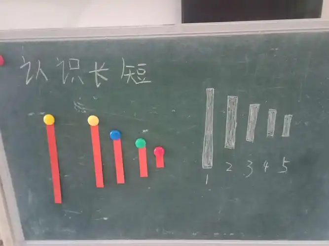 学习认识长短