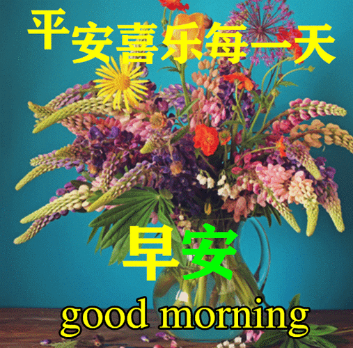 下午好动态图片表情大全鲜花美图大全