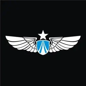 汽车装饰贴纸防水防晒反光车贴军事标志个性创意车身车窗中国空军