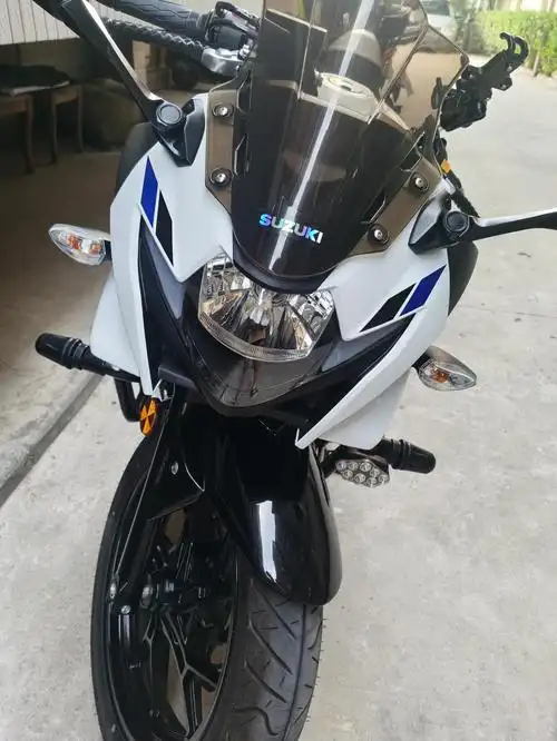 我的gsx之路_豪爵铃木 gsx250r-a车友圈_麦兜毛毛爱吃肉_懂车帝