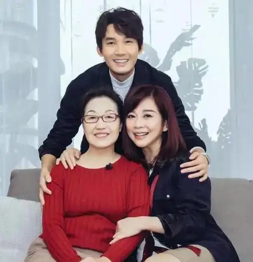 12年前那个没有生育能力40岁嫁小丈夫的陈松伶如今怎样了