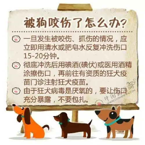 春季如何正确有效预防狂犬病 ——洋幼告诉你