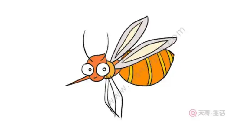 蚊子简笔画