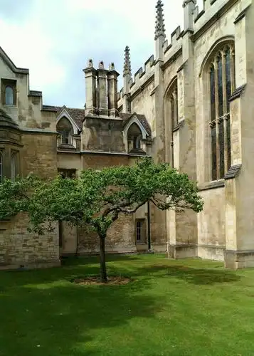剑桥大学的牛顿苹果树