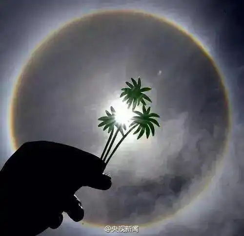 自带光环!陕西汉中出现罕见"日晕"景象(图)