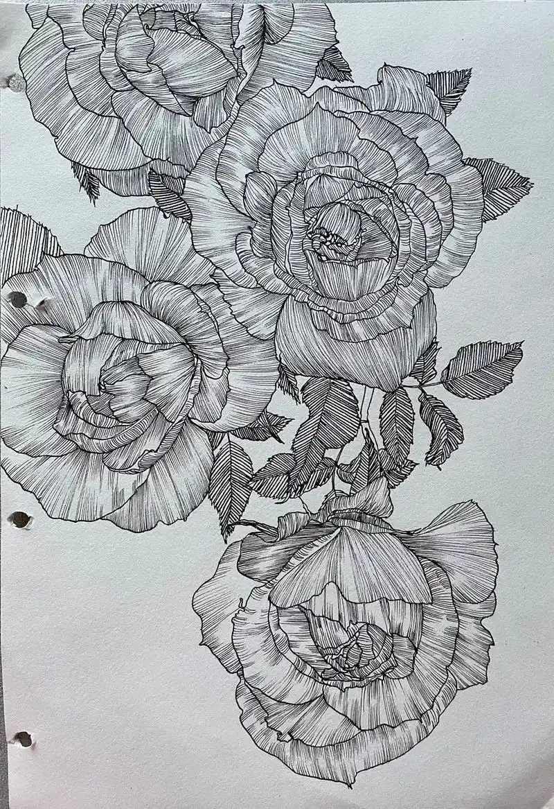 玫瑰#手绘 #线描 #黑白装饰画 #绘画过程 #每日一画  - 抖音