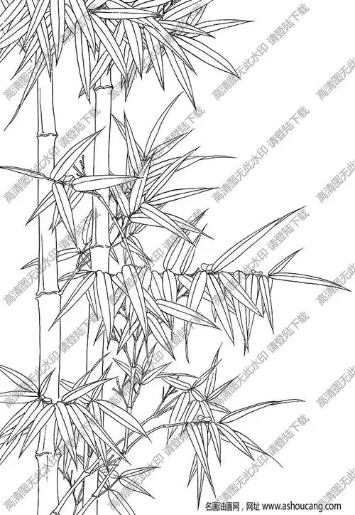 竹子线描画底稿33高清大图下载