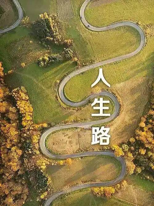 人生的选择与坚持