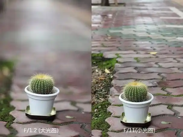 拍照时如何虚化背景影响景深的因素是什么景深三要素了解下