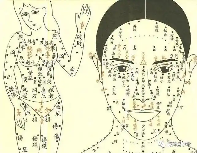 痣相大全