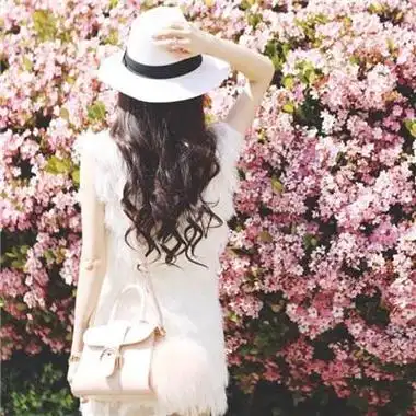 朋友情人知己句子杨绛