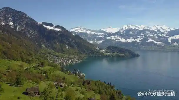 大卫鲍威尔你为什么说谎吉他曲谱