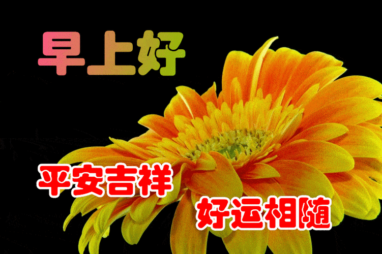 1月14日最漂亮早上好动态表情图片大全早上好动图美图大全