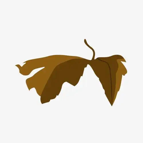 关键词 : 卡通,卡通枯叶,秋叶,枯萎的叶子,叶子,枯叶