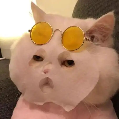 头像|可爱又有些沙雕的头像