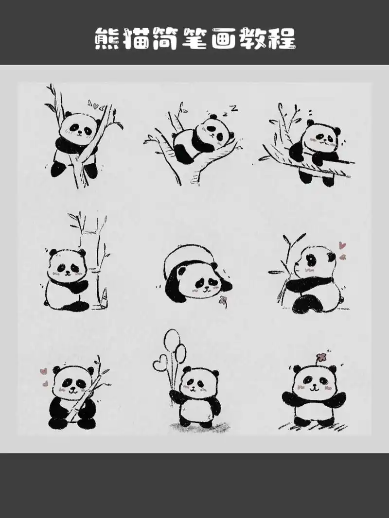 大家都在搜: 小宁是猪宝98 粉丝 416 获赞 4404 关注 熊猫简笔画