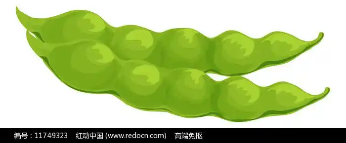 卡通新鲜的毛豆元素