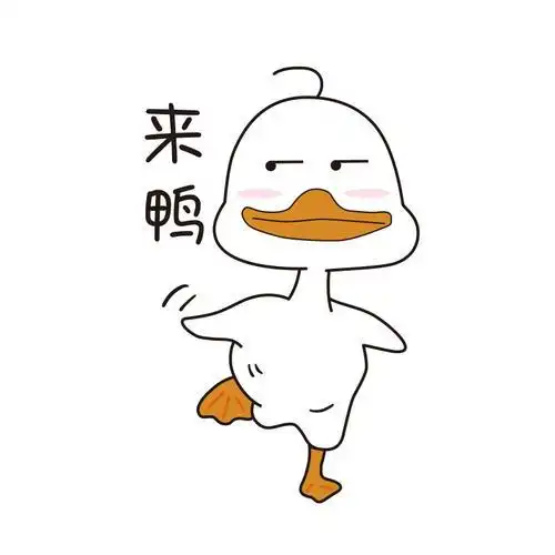 搞笑的鸭子图片大全大图