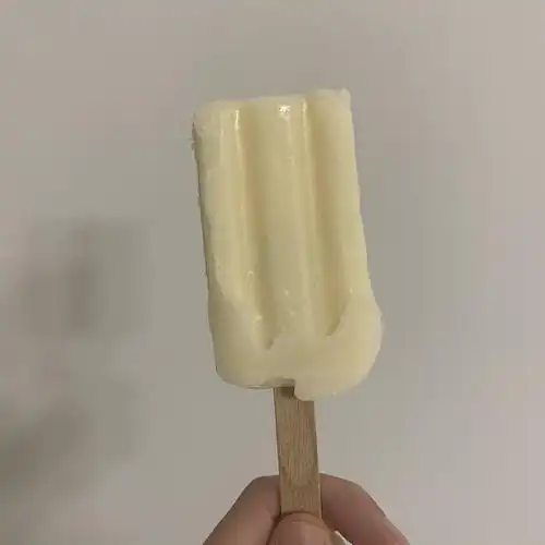 世界上最好吃的雪糕:德式小奶糕