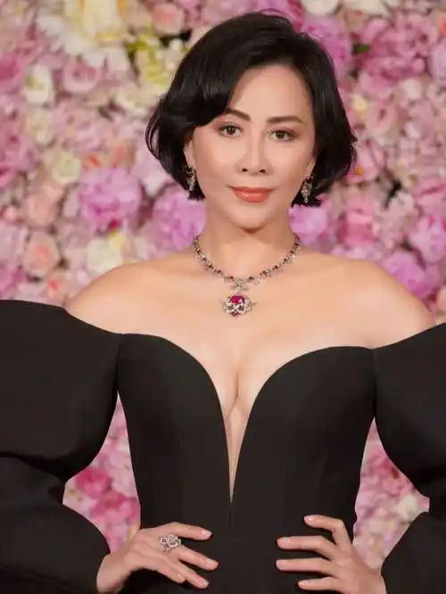 刘嘉玲的嘲弄,王菲的示威,更坚定了小林青霞以子为宝的坚强决心