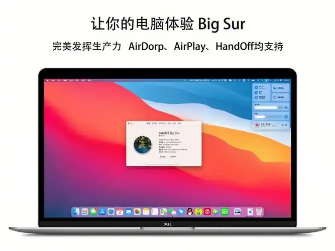 技术向黑苹果指南macosbigsur安装