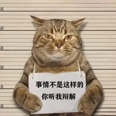 恶搞的猫举牌子拍囚犯照片头像