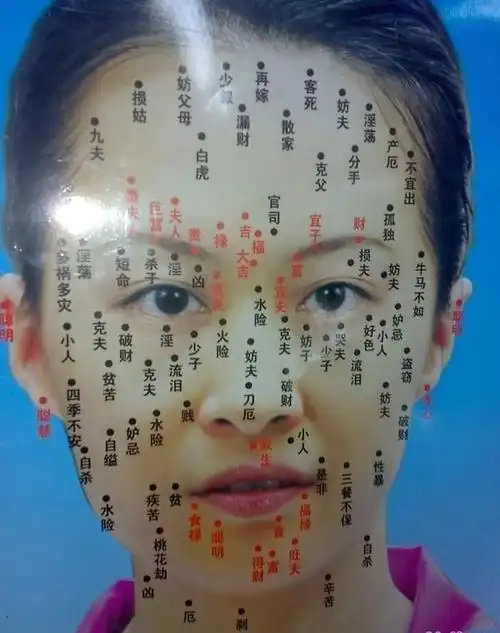 痣的位置与命运图脸上长痣的位置与命运图解