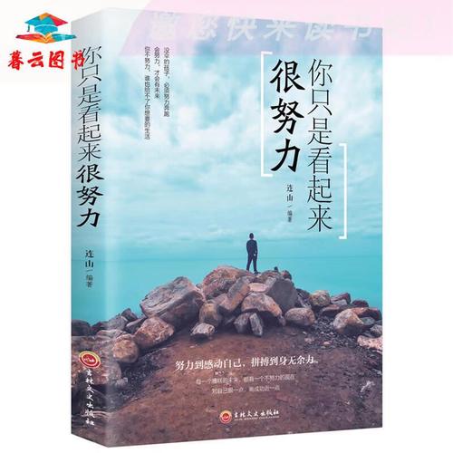 成功学 你只是看起来很努力 智涵品睿 红色