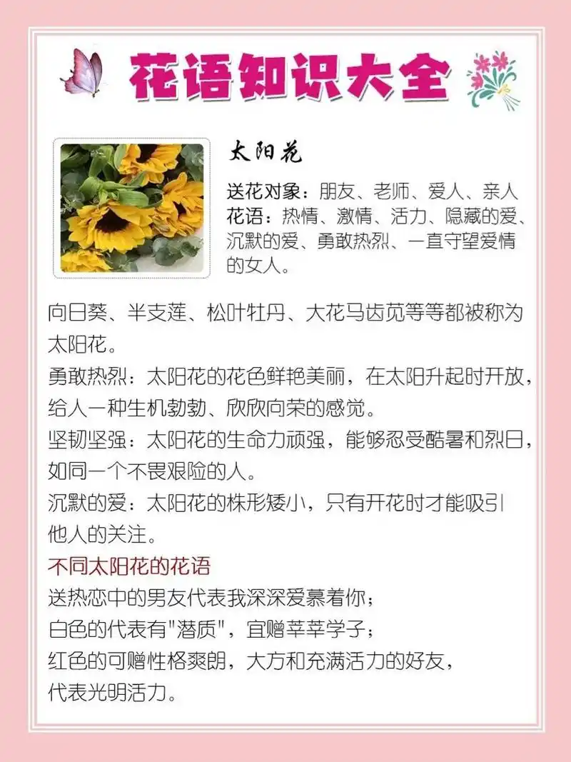 2295太阳花花语,收藏 7615太阳花 送花对象:朋友,老师,爱人