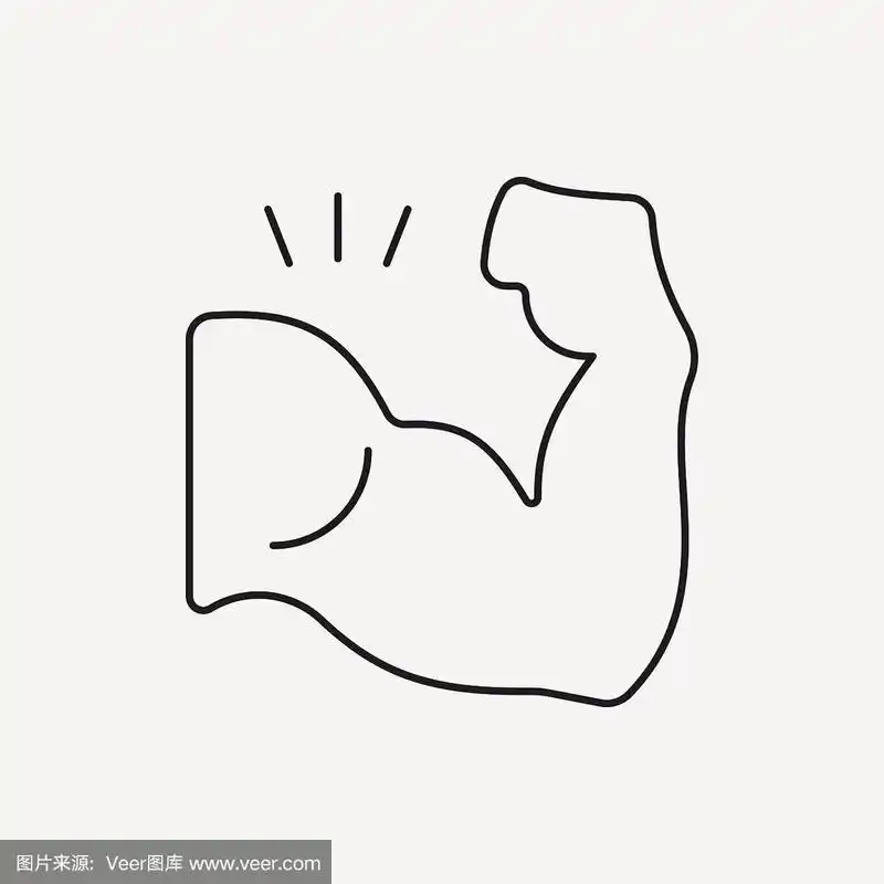 肌肉线条图标