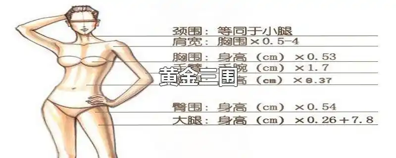 黄金三围-最新黄金三围整理解答