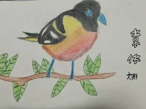 痕迹美术学校袁依娜作品选集