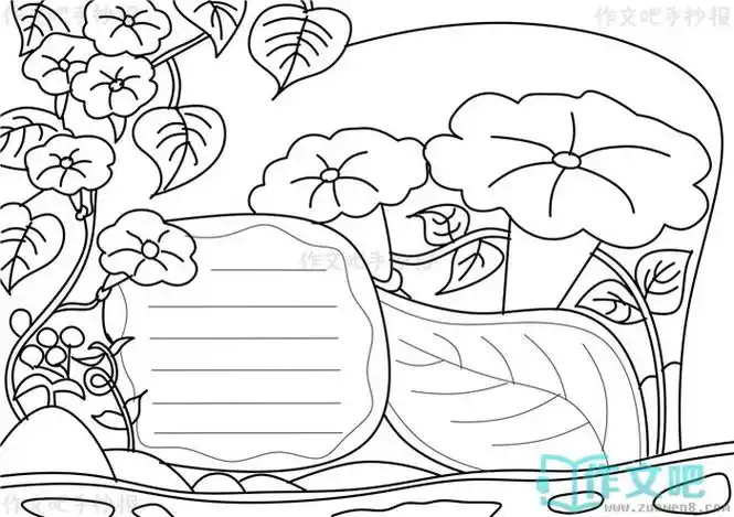 牵牛花生长过程手抄报