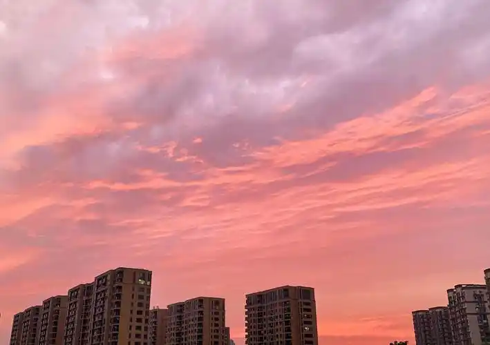 今天的傍晚 粉色天空