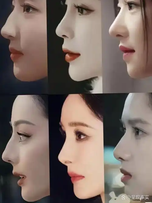 这几个美女明星的侧脸你认识几个?谁最美?