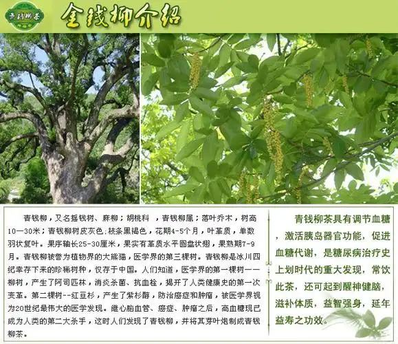 广州市万松堂生物科技有限公司