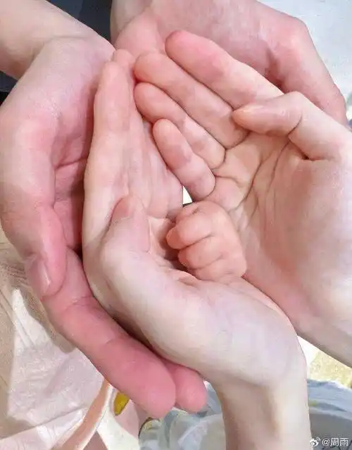 官宣结婚7个月后,国乒帅哥周雨晒照宣布军艺美女娇妻生下孩子:一生有