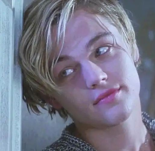 再次欣赏一下小李子年轻时的美颜0861610823