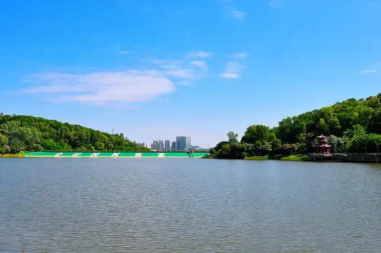 随拍深圳大运公园神仙湖