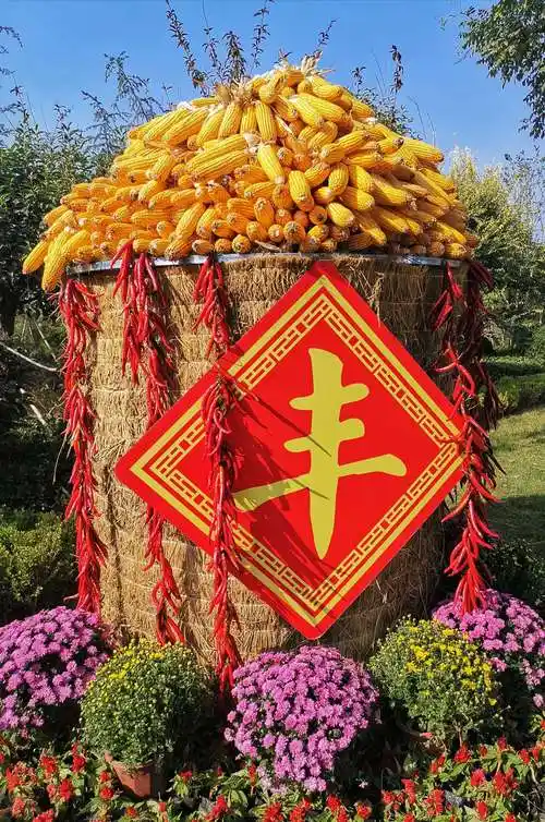 中原粮仓展新颜,礼赞华诞贺丰收!