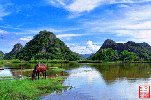 550_367gif 动态图 动图