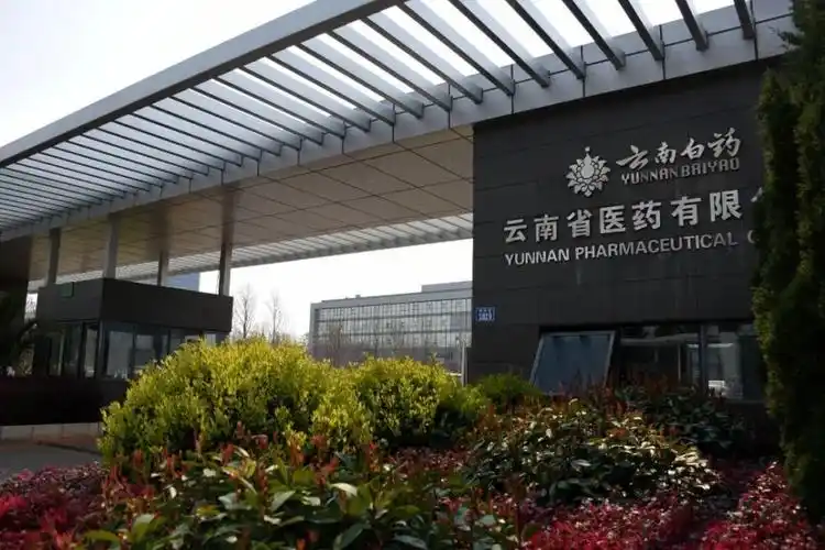 云南白药是怎么丢掉中药一哥宝座的?