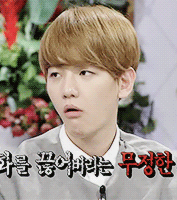 边伯贤# get新表情包