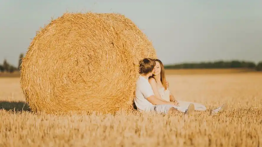 麦田里的一对情侣壁纸