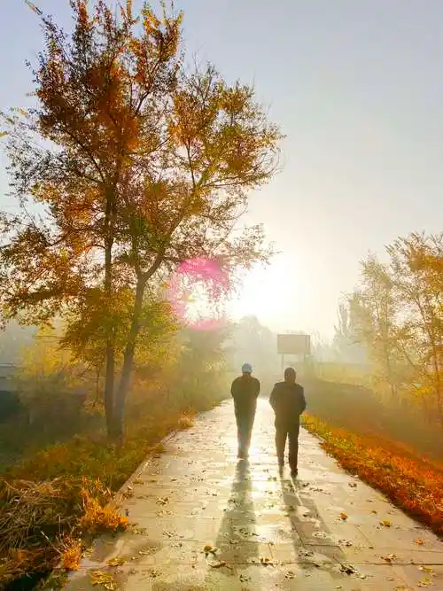 走在晨练的红砖路上遇到两位晨练的老人,他们的背影在我的镜头里被