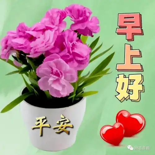 今日最新早上好表情图片大全,开心快乐每一天,情谊久久!