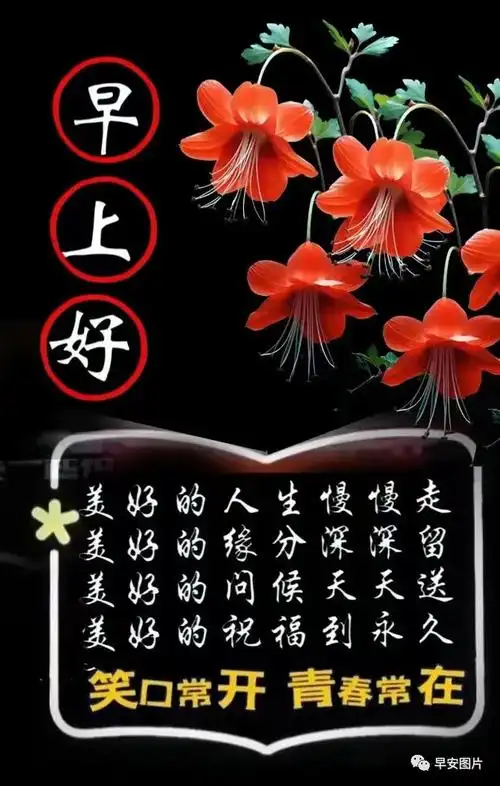 今日早安温馨祝福图片早安温暖问候祝福语