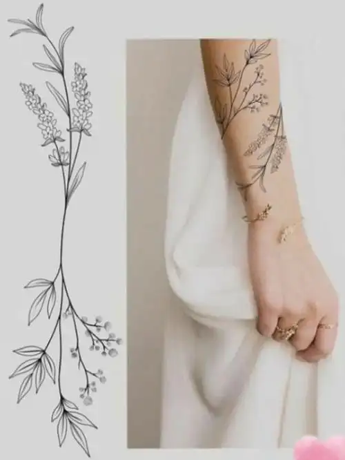 纹身手稿分享藤条纹身喜欢的点赞收藏