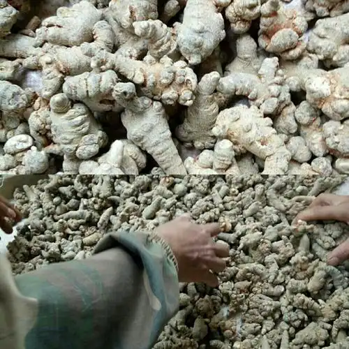 2017年8月14日 星期一(阴有小雨)文山三七国际交易中心每日行情