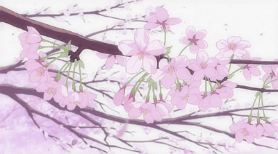 收集   点赞  评论  樱花 0 386 云小小朵  发布到  动态 图片评  00